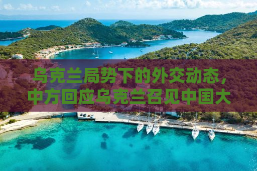 乌克兰局势下的外交动态，中方回应乌克兰召见中国大使